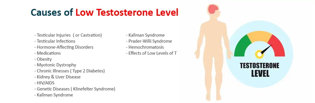 Detailed Overview Of Testosterone : How does it Influence your Health ...