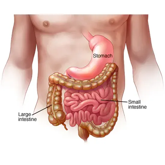 Gastroenteritis: Symptoms, Causes, Treatment and Diagnosis