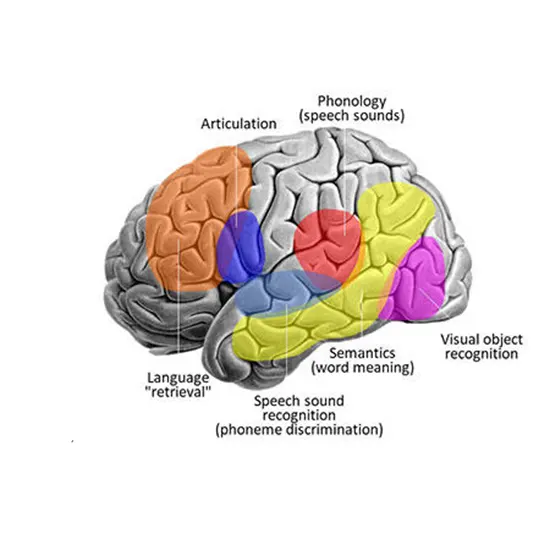 Aphasia - Symptoms, Types, Causes & Diagnosis