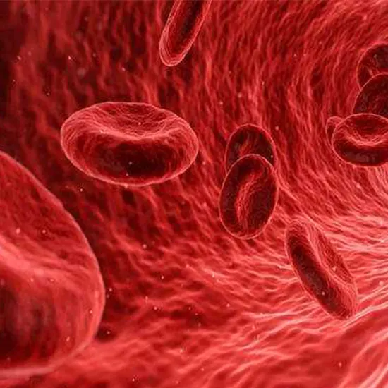 Hypovolemia: Overview, Symptoms, Causes & Treatment