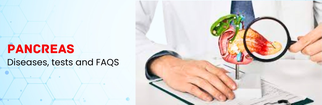 Pancreas: Different Types of Diseases, Tests and Faqs