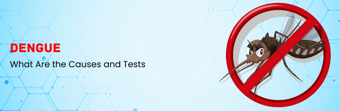 Dengue: What are the Causes, Types, and Tests?