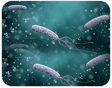 Anti-Helicobacter Pylori IgA