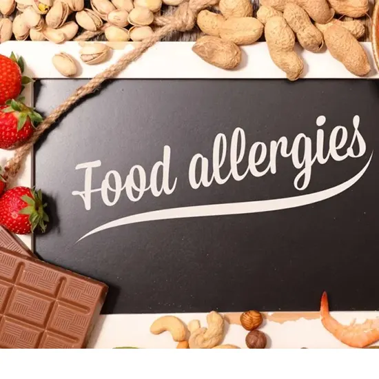 allergy - food (vegetarian)